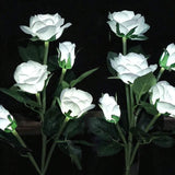 Everbloom™ Luzes Florais
