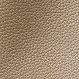 Anastasie Luxe Handbag