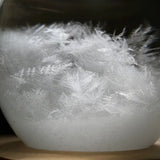 MeteoCrystal™ Tempo Luminoso