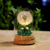 EternaBloom™ Luz de noite
