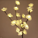 Ramos iluminados