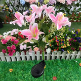 Everbloom™ Luzes Florais