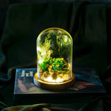 EternaBloom™ Luz de noite