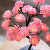 Árvore de rosas