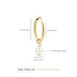 Delia Crest Earrings | Gold