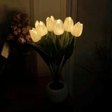 Luz noturna tulipa