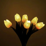 Luz noturna tulipa